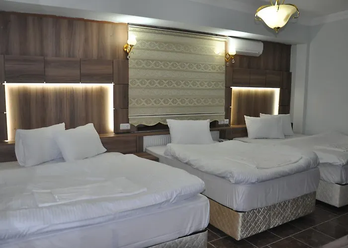 Mevlana Palace 3* Ικόνιο